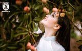 {ẢNH] Thiếu nữ Hà thành thướt tha áo dài bên đồi vải Lục Ngạn
